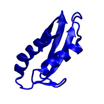 Structure preview of mdCATH 1vbkA02