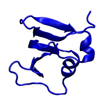 Structure preview of mdCATH 1vccA00