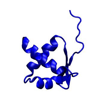 Structure preview of mdCATH 2l01A00