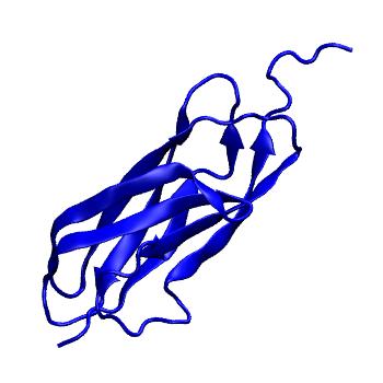 Structure preview of mdCATH 2l0dA00