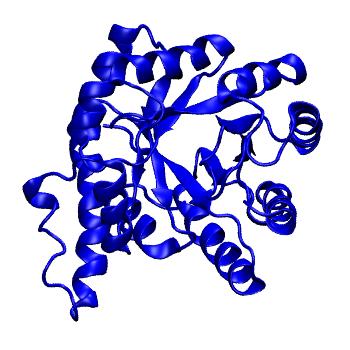 Structure preview of mdCATH 1b5tA00