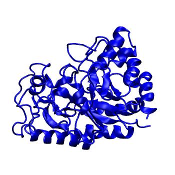 Structure preview of mdCATH 1bagA01