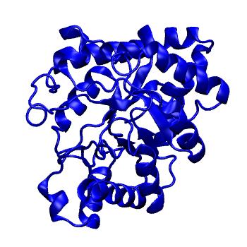 Structure preview of mdCATH 1bf6A00