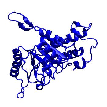 Structure preview of mdCATH 1bj4A01