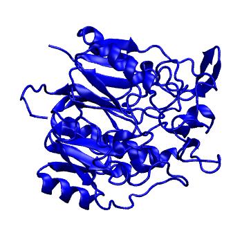 Structure preview of mdCATH 1bwdA00