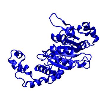 Structure preview of mdCATH 1c4kA02