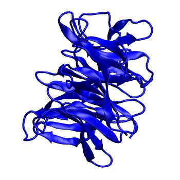 Structure preview of mdCATH 1c5kA02