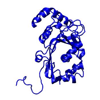 Structure preview of mdCATH 1w36B05