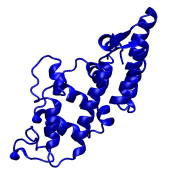 Structure preview of mdCATH 1w36C04