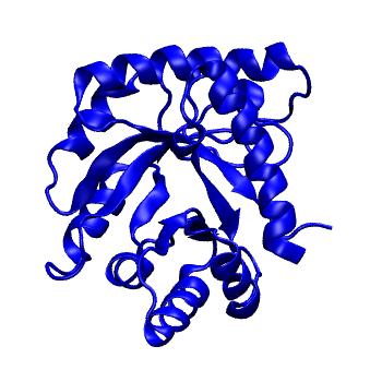 Structure preview of mdCATH 1w8gA00