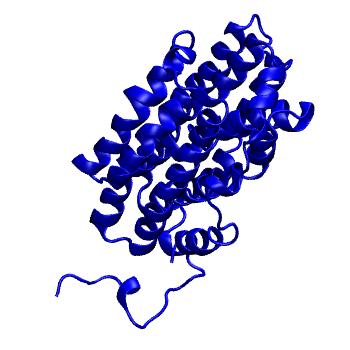 Structure preview of mdCATH 3ee4A00