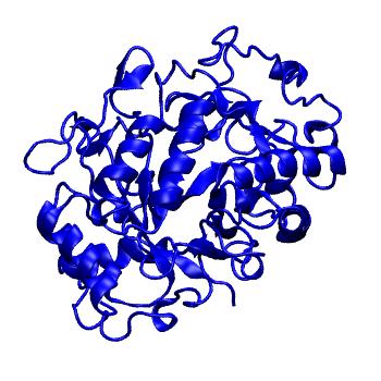 Structure preview of mdCATH 1bvnP01