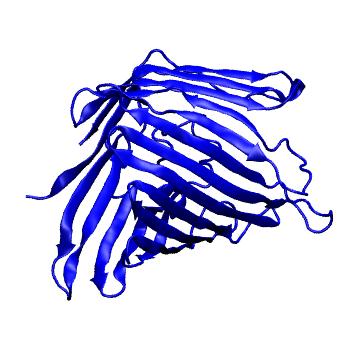 Structure preview of mdCATH 4auiA00