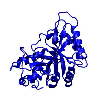 Structure preview of mdCATH 4b15A00