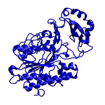 Structure preview of mdCATH 4b56A02