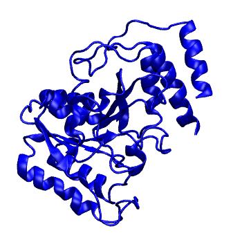 Structure preview of mdCATH 4b9bA02