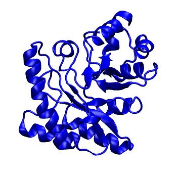 Structure preview of mdCATH 4beqA02