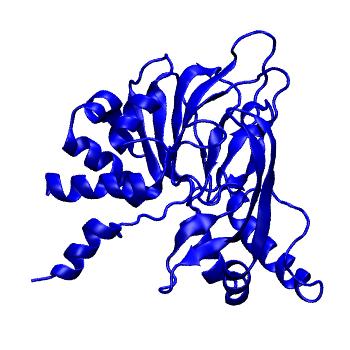 Structure preview of mdCATH 4c5wA02