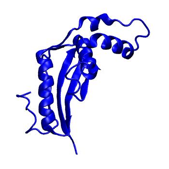 Structure preview of mdCATH 3cx5B02