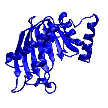 Structure preview of mdCATH 3evnA02