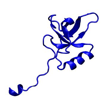 Structure preview of mdCATH 4bwhA00