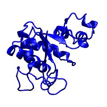 Structure preview of mdCATH 4ccdA02