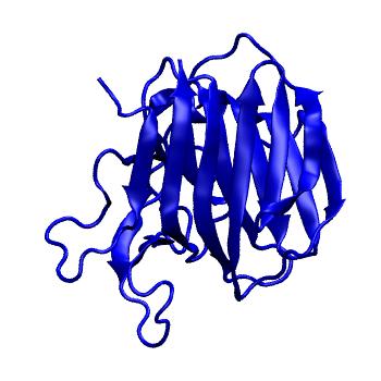 Structure preview of mdCATH 4ccdA03