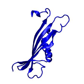 Structure preview of mdCATH 4ccvA00