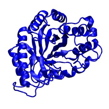 Structure preview of mdCATH 4cd8A00