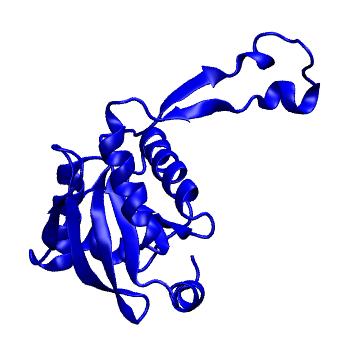 Structure preview of mdCATH 4cgyA01