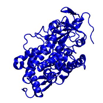 Structure preview of mdCATH 1c8jA00