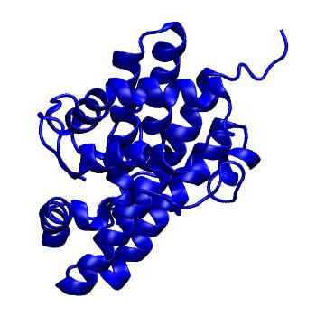Structure preview of mdCATH 1ca1A01