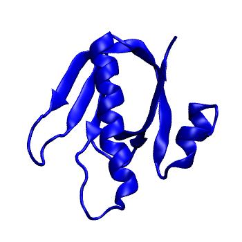 Structure preview of mdCATH 1chpD00