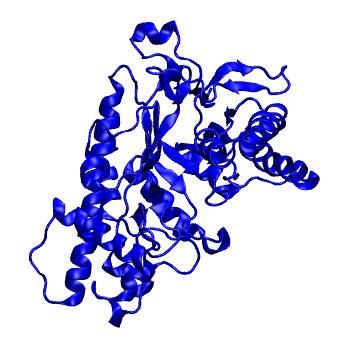 Structure preview of mdCATH 4cvuA03