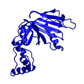 Structure preview of mdCATH 1ci0B00