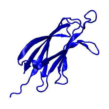 Structure preview of mdCATH 1cjyA01