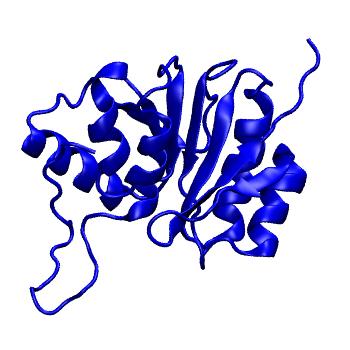 Structure preview of mdCATH 4dcmA01