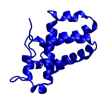 Structure preview of mdCATH 4dhiB02