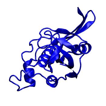 Structure preview of mdCATH 1cv8A00
