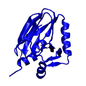 Structure preview of mdCATH 1cywA00