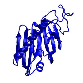 Structure preview of mdCATH 4dlqA03