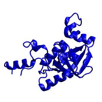 Structure preview of mdCATH 4dnxA01