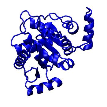 Structure preview of mdCATH 3oiyB01
