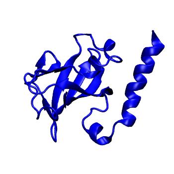 Structure preview of mdCATH 3oq3B01
