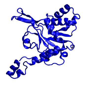 Structure preview of mdCATH 3oy2A02