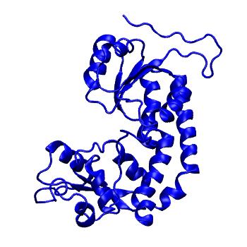 Structure preview of mdCATH 3pdiA02