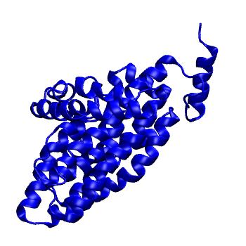Structure preview of mdCATH 3pvtA00