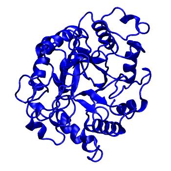 Structure preview of mdCATH 3qhoA00