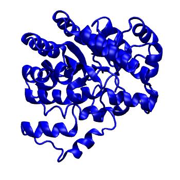 Structure preview of mdCATH 3rysB00