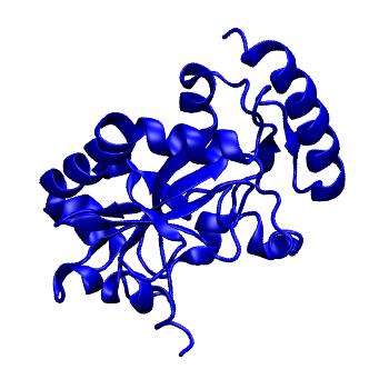 Structure preview of mdCATH 3spdA00